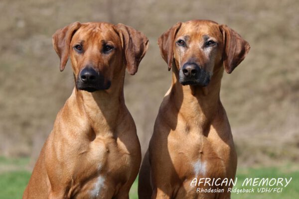 Malou & Amali