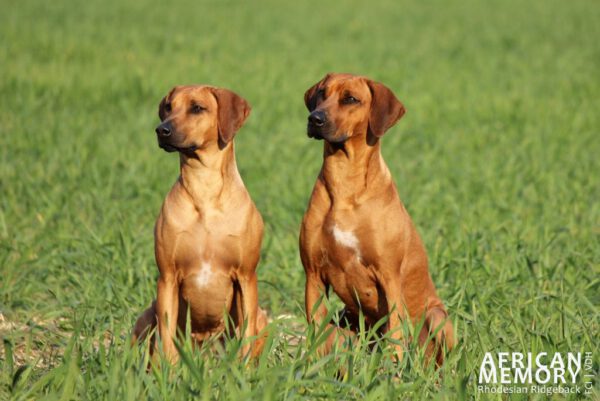 Malou & Ava
