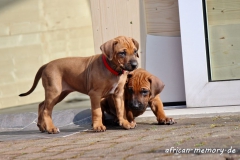IMG_0400 (1024x682)
