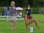 KCM Heteren 2017