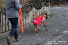 IMG_9758 (1024x683)