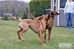 IMG_7844 (1024x682)