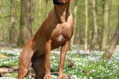 Malou (6)