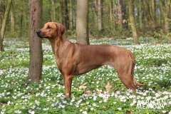 Malou (7)