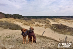 Foto 17.03.18, 13 55 40 (1024x683)