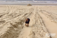 Foto 17.03.18, 14 11 22 (1024x681)