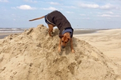 Foto 17.03.18, 14 12 58 (768x1024)