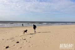 Foto 18.03.18, 16 08 44 (1024x682)