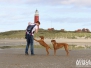 Texel Sep. 2019
