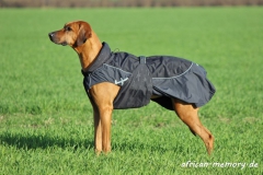 36. Tag (8) (1024x684)