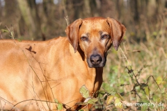 53. Tag (9) (1024x684)