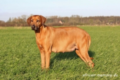 56. Tag (5) (1024x683)