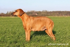 56. Tag (6) (1024x682)