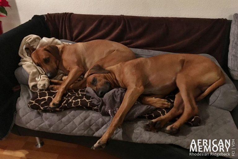 Silvester war wie immer ganz entspannt