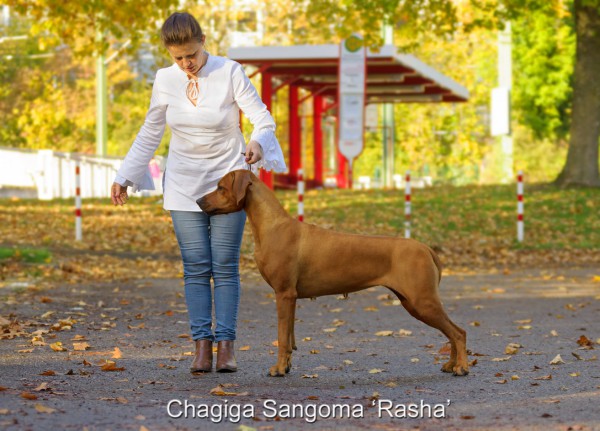 Flora Halbschwester Rasha - 3,5 Jahre