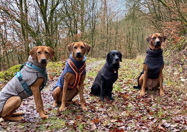 Flora, Malou, Boogie & Themba am 29.01.2020