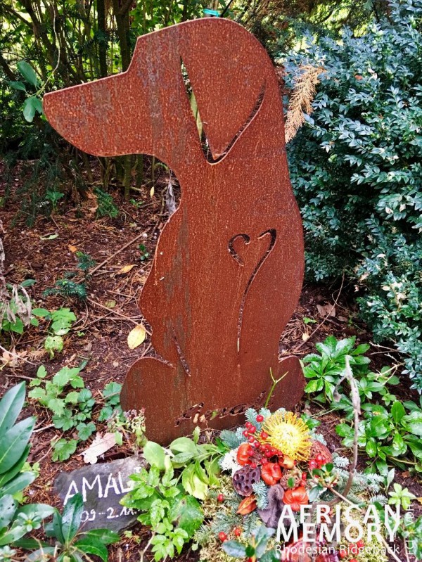 Amali - für immer in unseren Herzen