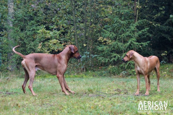 Samir & Malou