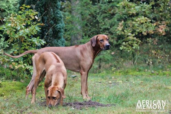 Flora & Samir