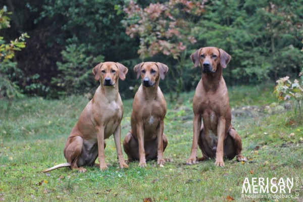 Flora - Malou - Samir