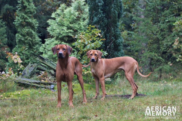 Samir & Flora